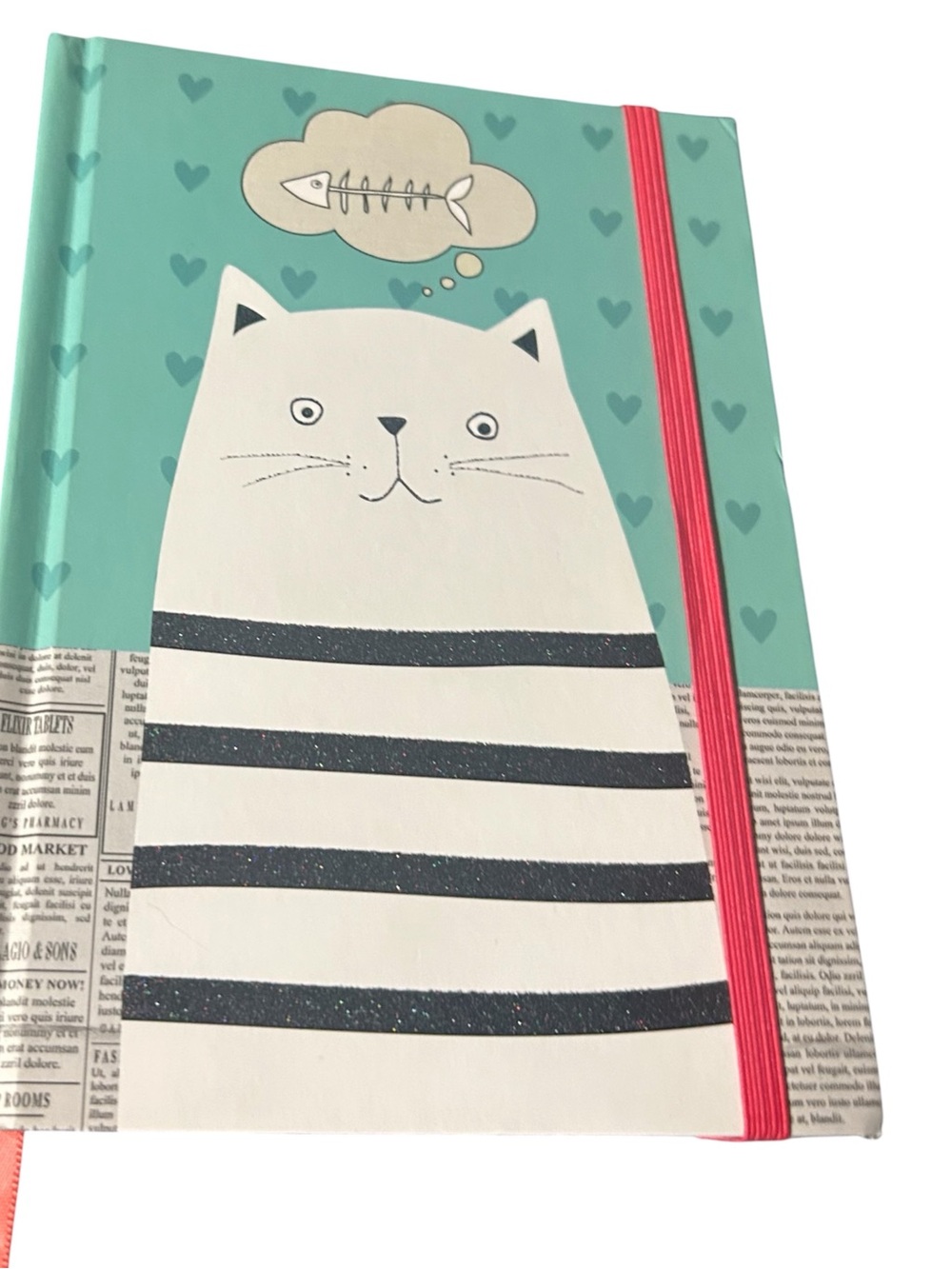 Rare & Whimsical Cat Dreaming of a Fish Journal by C R Gibson